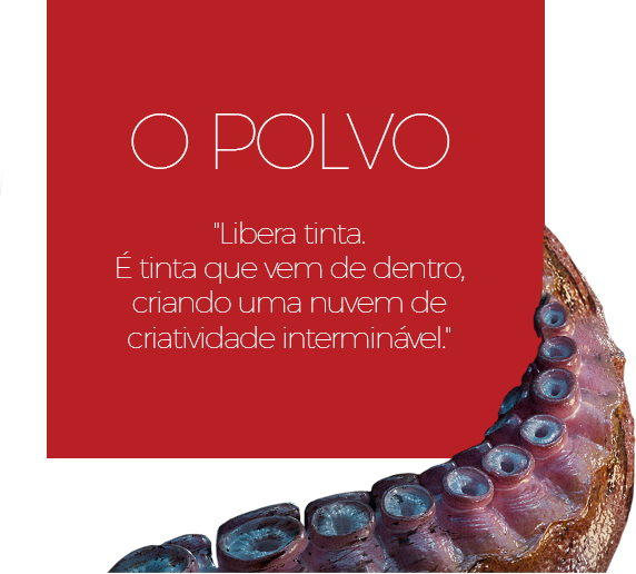 img_o_polvo_servicos_criacao img_o_polvo_servicos_criacao